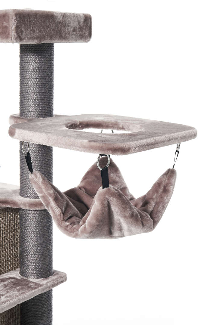 Nobby Kratzbaum Raya